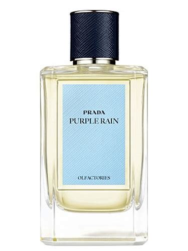 prada purple perfume